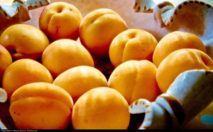 apricot