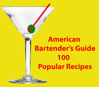 Bartender's Recipe Book 100 Popular Cocktails
